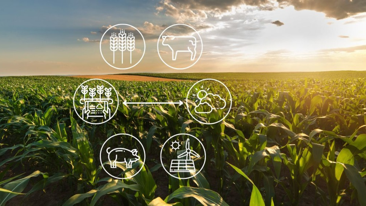 Neue Veranstaltungsreihe 