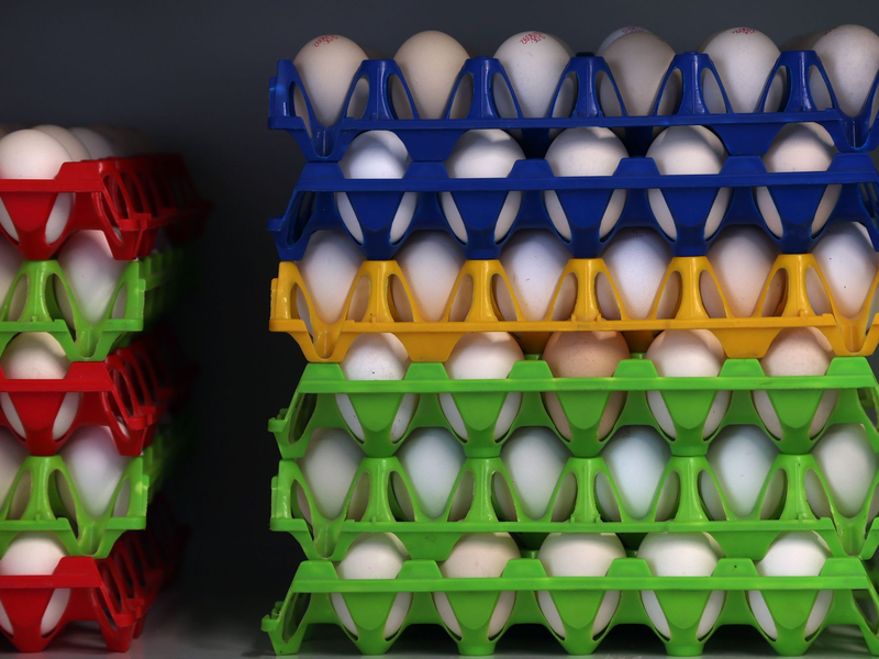 Lege- und Masthühner sind meist schmucklos weiß. (Archivbild) - Foto: Karl-Josef Hildenbrand/dpa