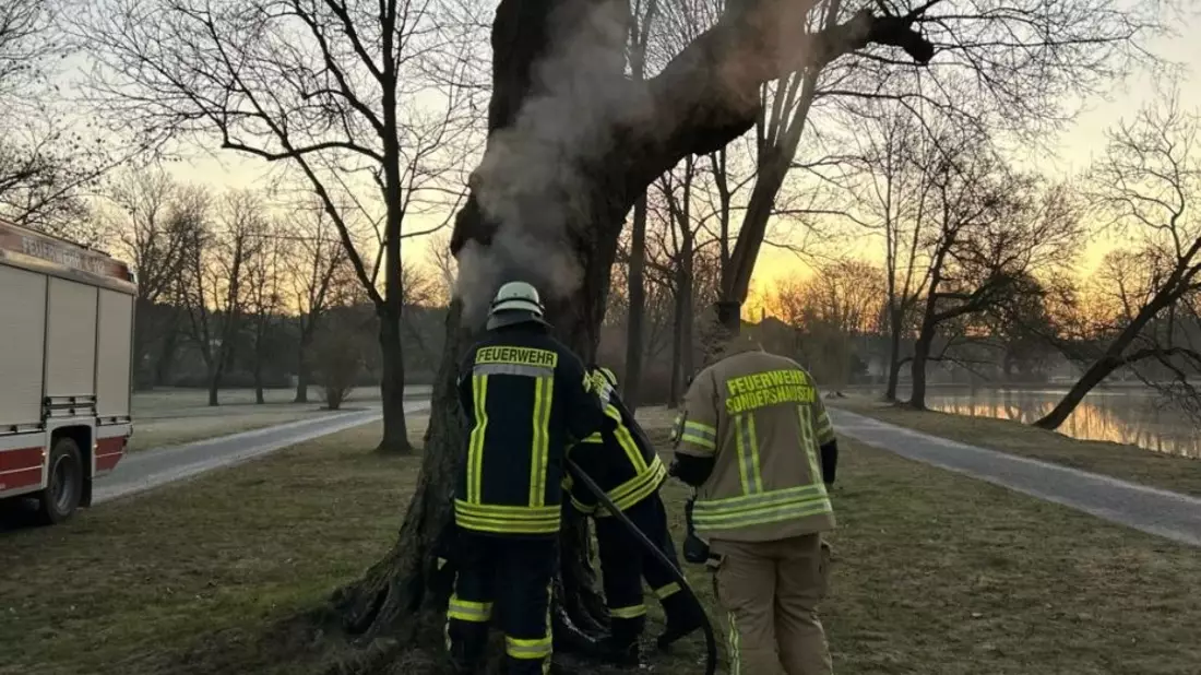 LPI-NDH: Unbekannte entzünden Baum in Sondershäuser Schlosspark - Zeugen gesucht - Bild: presseportal.de