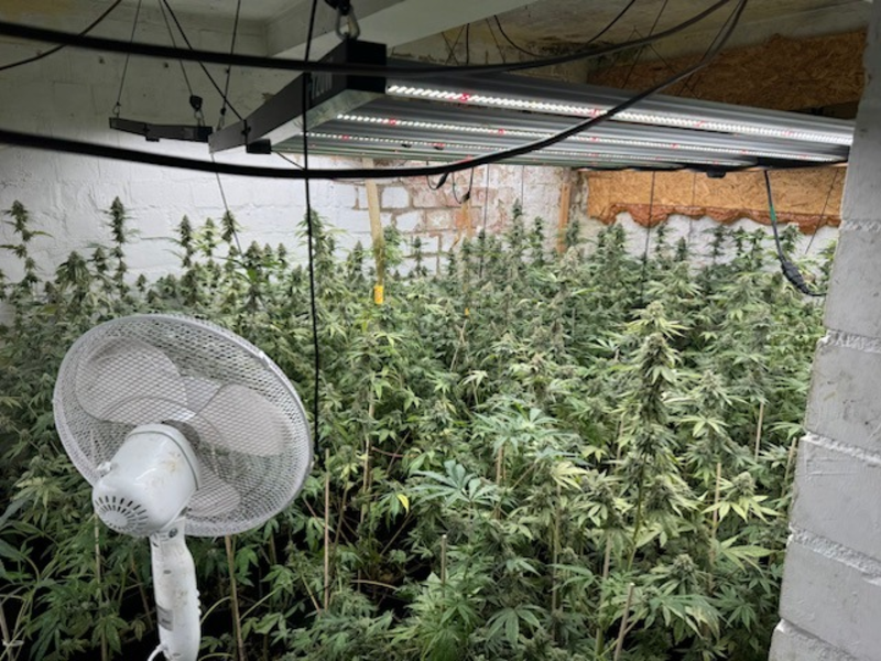 POL-HM: Gemeinsame Pressemitteilung der Staatsanwaltschaft Hannover und der PI Hameln-Pyrmont/Holzminden - Durchsuchungsmaßnahmen führen zum Auffinden mehrerer Cannabisplantagen - Foto: presseportal.de