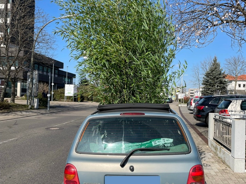 POL-PDNW: Wuchernde Ladung - Bambustransport der ungewöhnlichen Art - Foto: presseportal.de