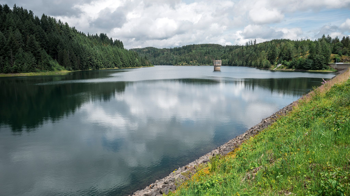 Erholungsort und wichtige Trinkwasserquelle der Region: die Talsperre Mauthaus in Oberfranken. - Foto: Daniel Vogl/dpa