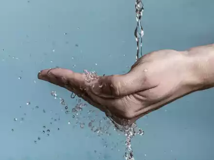 Weltwassertag 2025: Wie man die lebenswichtige Ressource Wasser schützen kann / Sauberes Trinkwasser bewahren mit einfachen Maßnahmen und elektronischen Armaturen von Schell - Foto: presseportal.de