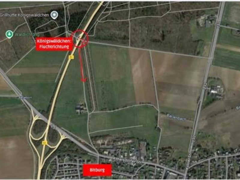 POL-PPTR: Versuchtes Tötungsdelikt zum Nachteil einer Prostituierten - Foto: presseportal.de