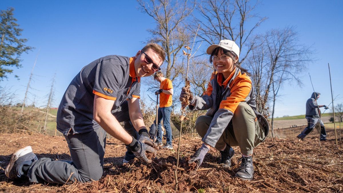 OBI Azubis packen an: 1.000 neue Bäume für die Eifel - Foto: presseportal.de