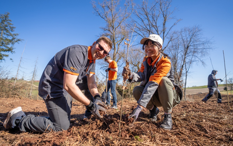OBI Azubis packen an: 1.000 neue Bäume für die Eifel - Foto: presseportal.de