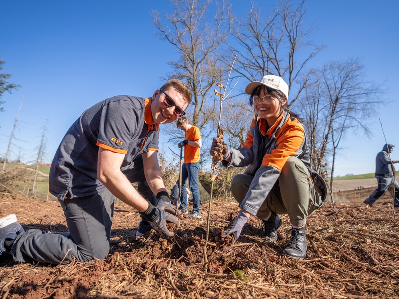 OBI Azubis packen an: 1.000 neue Bäume für die Eifel - Foto: presseportal.de