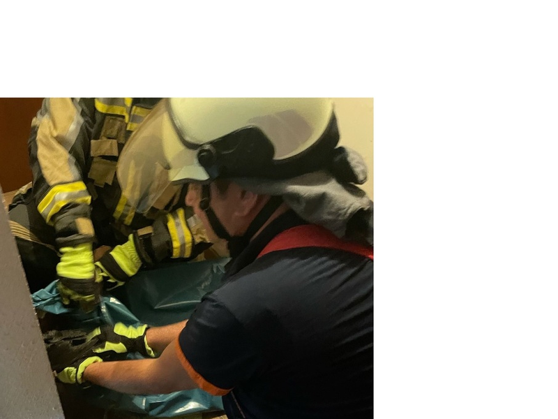 POL-BO: Piep, Piep, Piep - Foto: presseportal.de