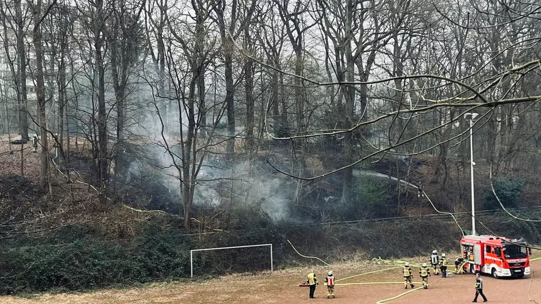 FW-E: Erster Waldbrand des Jahres 2025 - rund 1000 Quadratmeter Vegetation verbrannt - Bild: presseportal.de