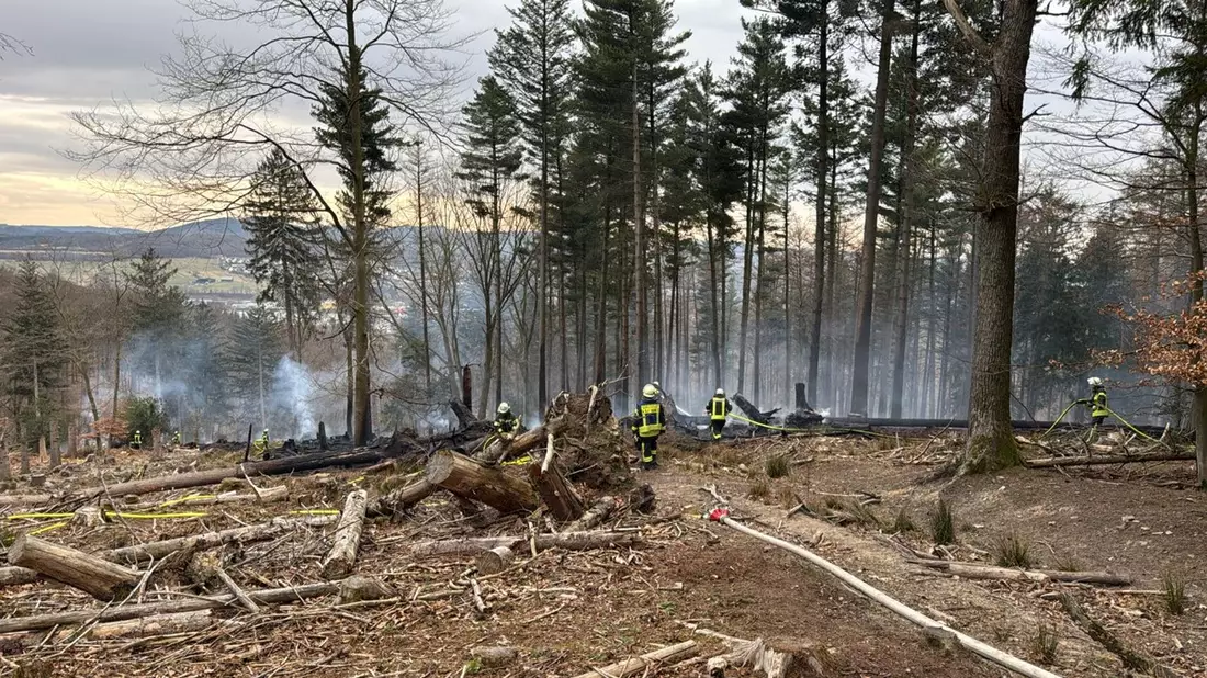 FW-AR: Waldbrand beschäftigt Feuerwehr stundenlang - Bild: presseportal.de