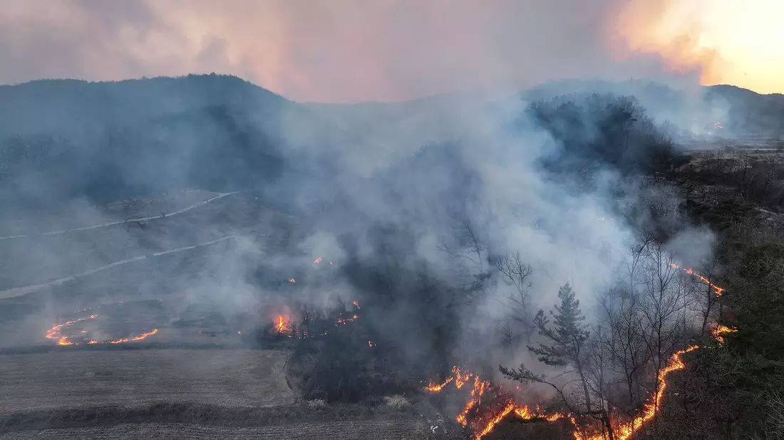 Bei den Toten und Verletzten handelt es sich um Feuerwehrleute und Regierungsbeamte. - Bild: Yoon Gwan-shick/Yonhap/AP/dpa