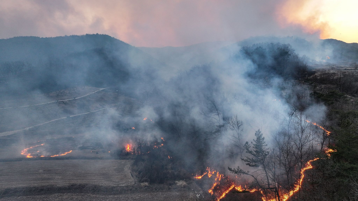 Bei den Toten und Verletzten handelt es sich um Feuerwehrleute und Regierungsbeamte. - Foto: Yoon Gwan-shick/Yonhap/AP/dpa