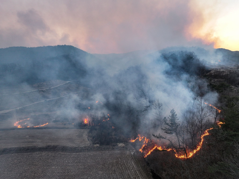 Bei den Toten und Verletzten handelt es sich um Feuerwehrleute und Regierungsbeamte. - Foto: Yoon Gwan-shick/Yonhap/AP/dpa