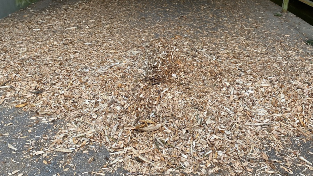 POL-PDLD: Kandel - Unfall durch verlorene Hackschnitzel - Foto: presseportal.de