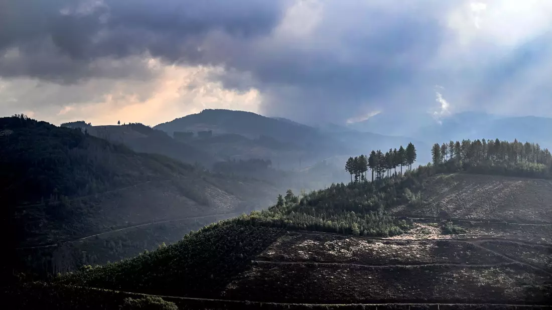Das Sauerland ist besonders reich an Sagen und Legenden. Zu den mythischen Figuren der Region zählen die im Berg und unter der Erde lebenden «Hollen» (Archivbild). - Bild: Federico Gambarini/dpa