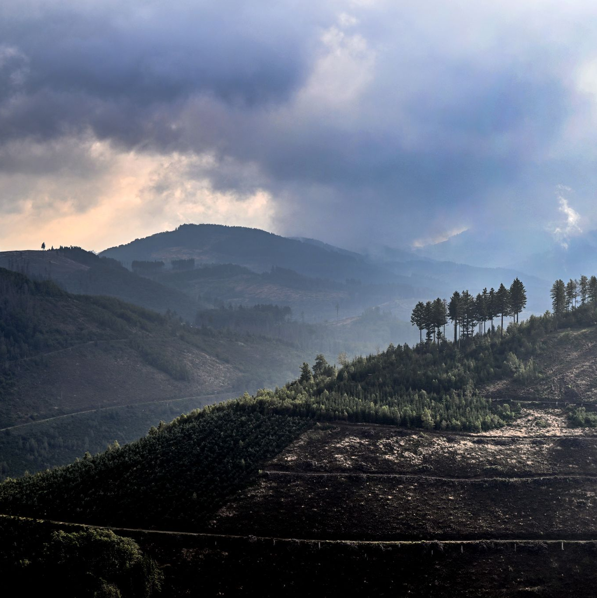 Das Sauerland ist besonders reich an Sagen und Legenden. Zu den mythischen Figuren der Region zählen die im Berg und unter der Erde lebenden «Hollen» (Archivbild). - Foto: Federico Gambarini/dpa