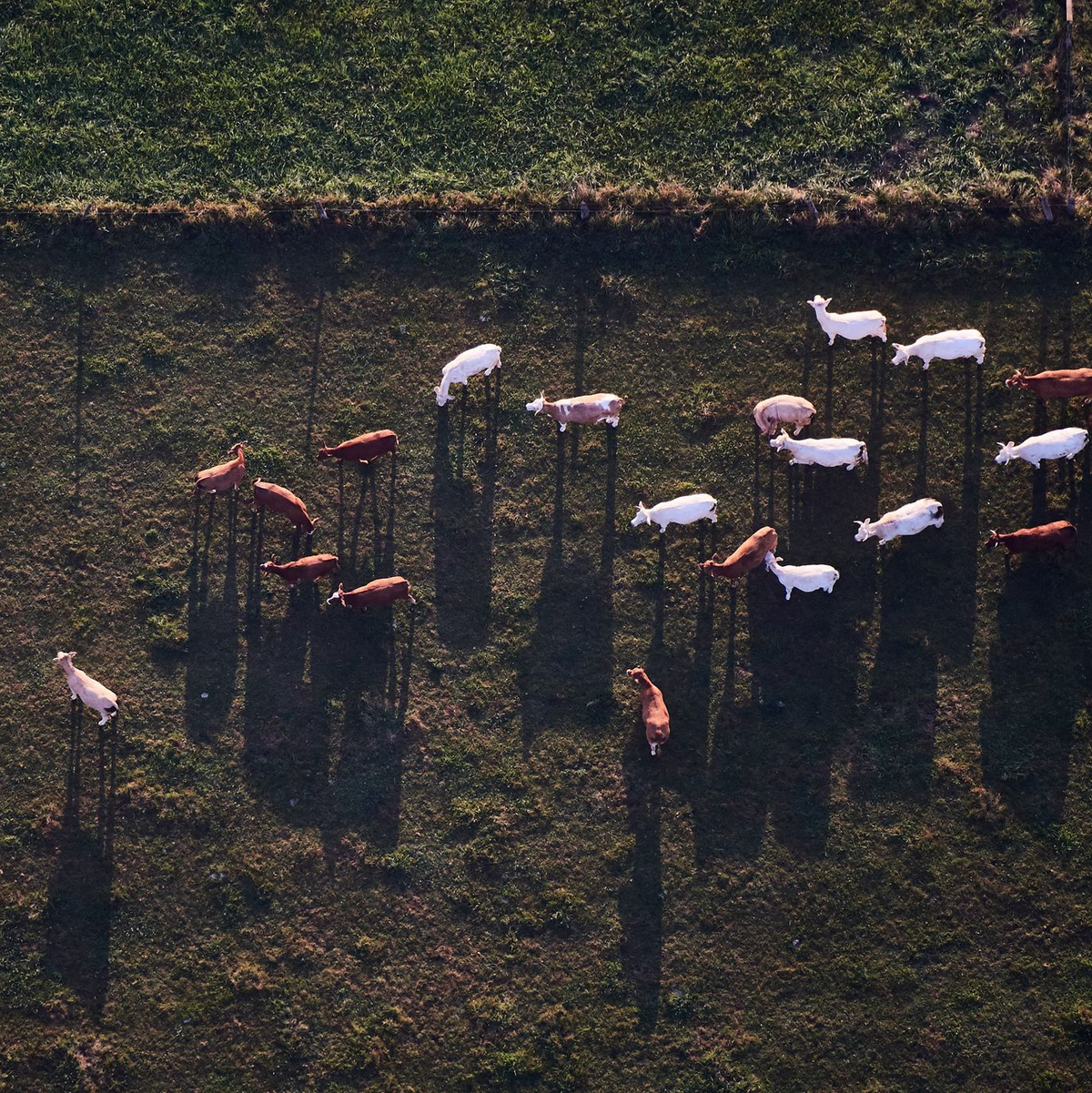 Das Sauerland hat wirtschaftlich bei weitem nicht nur Landwirtschaft zu bieten (Archivbild). - Foto: picture alliance / dpa
