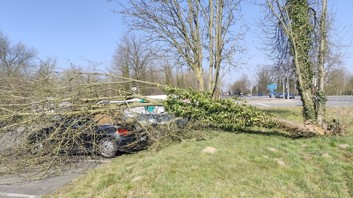 POL-WL: Pressemitteilung der Polizeiinspektion Harburg für den Zeitraum von Freitag, 21.03.2025, 12:00 Uhr bis Sonntag, 23.03.2025, 12:00 Uhr - Foto: presseportal.de