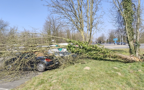 POL-WL: Pressemitteilung der Polizeiinspektion Harburg für den Zeitraum von Freitag, 21.03.2025, 12:00 Uhr bis Sonntag, 23.03.2025, 12:00 Uhr - Foto: presseportal.de