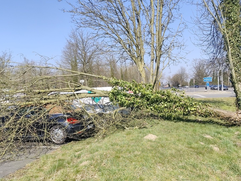 POL-WL: Pressemitteilung der Polizeiinspektion Harburg für den Zeitraum von Freitag, 21.03.2025, 12:00 Uhr bis Sonntag, 23.03.2025, 12:00 Uhr - Foto: presseportal.de