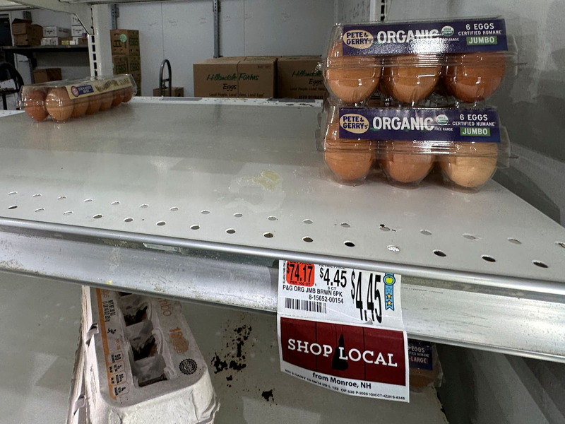 In den USA sind die Eier knapp - das führt zu höheren Preisen. (Archivbild) - Foto: Robert F. Bukaty/AP/dpa