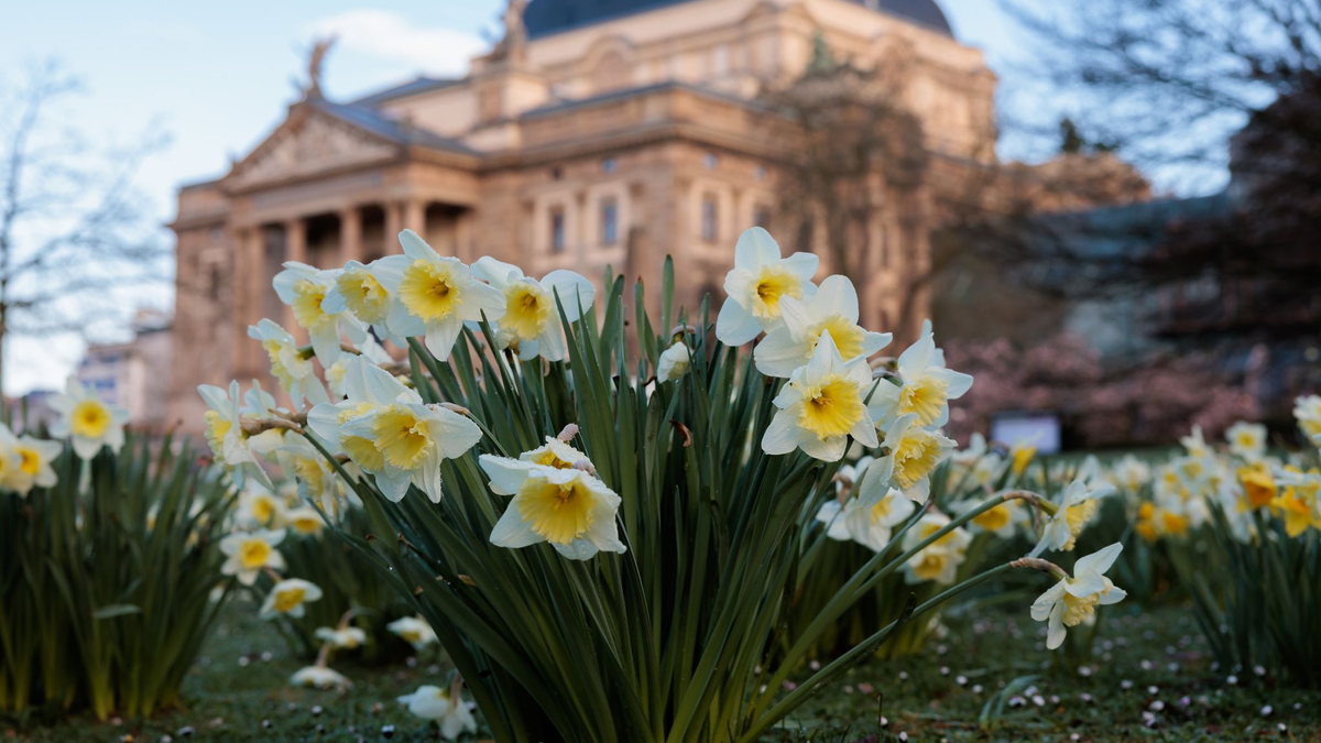 Temperaturen bis zu 18 Grad erwartet der Wetterdienst in den kommenden Tagen. - Foto: Jörg Halisch/dpa