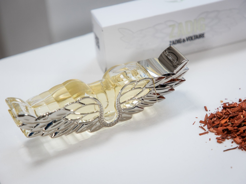 Seven.One AdFactory gewinnt Zadig&Voltaire als Digitalsponsor für Germany's Next Topmodel Stories - und verleiht der Brand auch im TV himmlische Strahlkraft - Foto: ProSieben/Benedikt Müller, presseportal.de