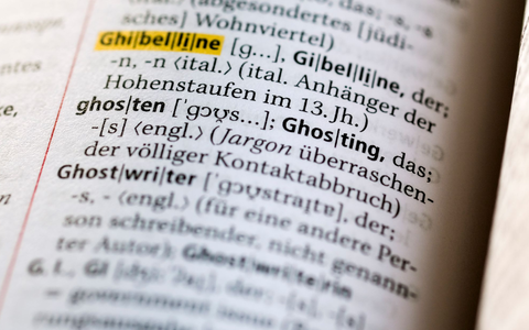 «Ghosting» - das Fernbleiben von Bewerbern am Ausbildungsplatz - wird für mehr Betriebe zum Problem (Symbolbild).  - Foto: Jens Kalaene/dpa