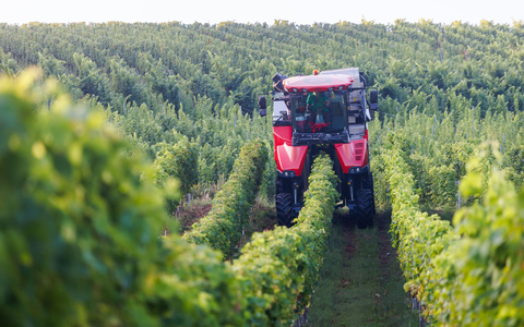 Es wandelt sich was in den Weinbergen deutscher Anbaugebiete (Archivfoto).  - Foto: Philipp von Ditfurth/dpa