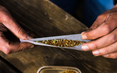 Cannabis ist in Deutschland seit 1. April 2024 für Erwachsene freigegeben (Symbolbild).  - Foto: Philipp von Ditfurth/dpa