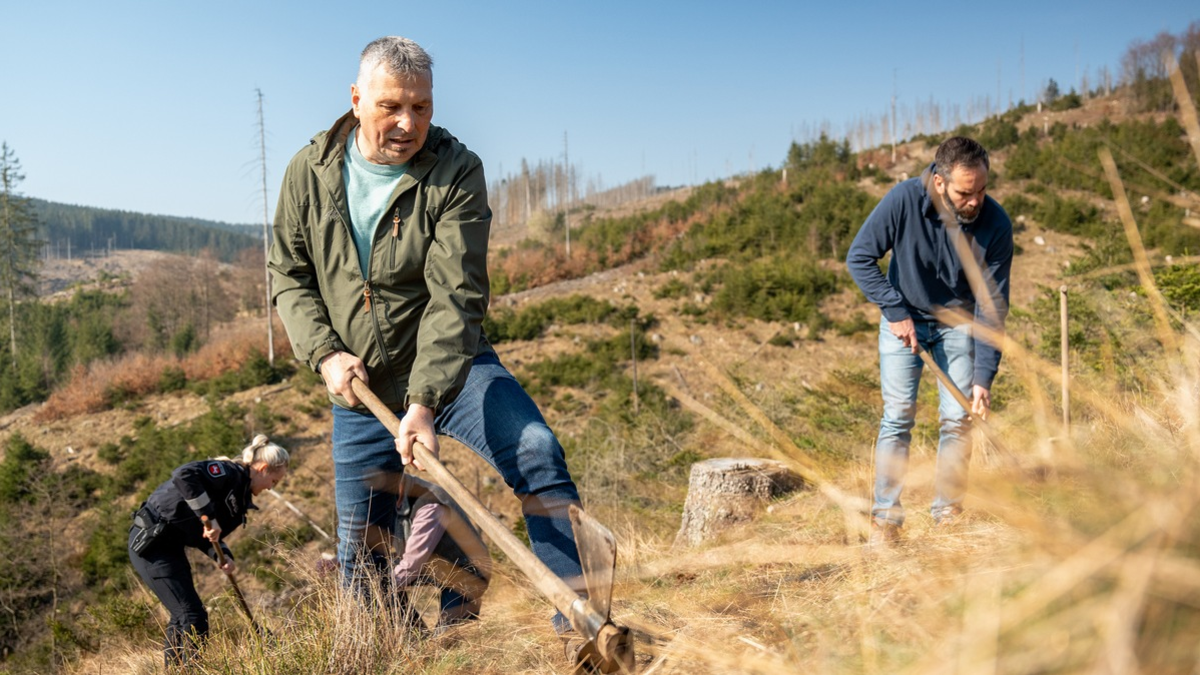 POL-BS: Gemeinsam für den Harz: Über 7.950 Euro ermöglichen erste Sandbirken- und Ahorn-Pflanzungen - Foto: presseportal.de
