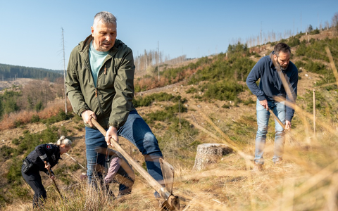 POL-BS: Gemeinsam für den Harz: Über 7.950 Euro ermöglichen erste Sandbirken- und Ahorn-Pflanzungen - Foto: presseportal.de POL-BS: Gemeinsam für den Harz: Über 7.950 Euro ermöglichen erste Sandbirken- und Ahorn-Pflanzungen - Foto: presseportal.de