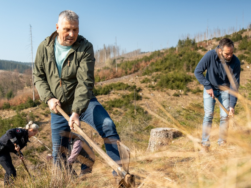 POL-BS: Gemeinsam für den Harz: Über 7.950 Euro ermöglichen erste Sandbirken- und Ahorn-Pflanzungen - Foto: presseportal.de