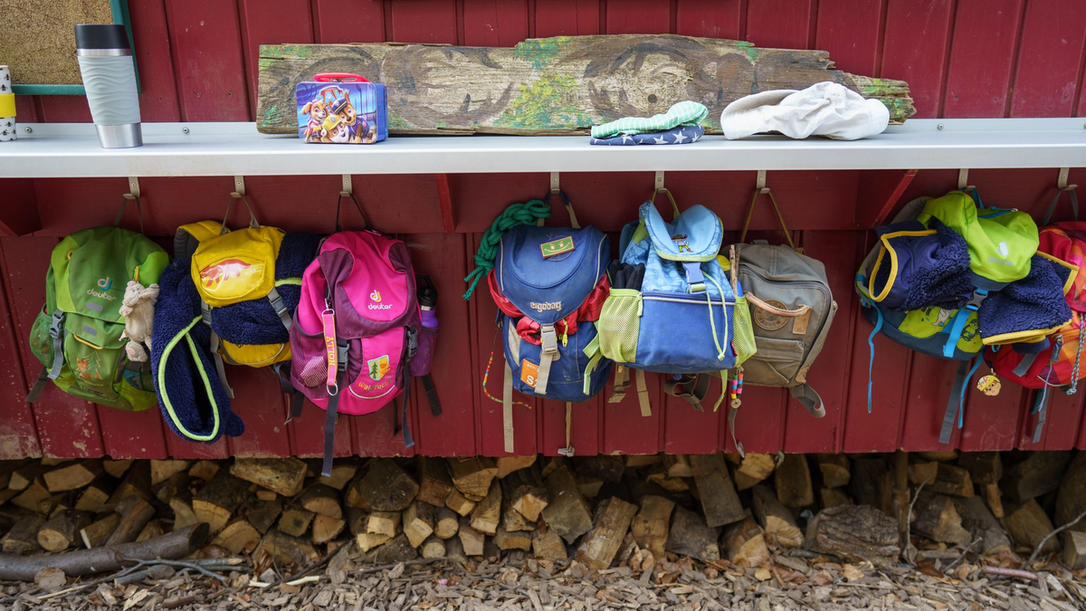 Laut Umfrage unter Kitaleitungen erschweren mehrere Faktoren eine Natur-Bildung der Jüngsten. (Symbolbild)  - Foto: Frank Rumpenhorst/dpa