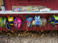 Laut Umfrage unter Kitaleitungen erschweren mehrere Faktoren eine Natur-Bildung der Jüngsten. (Symbolbild)  - Foto: Frank Rumpenhorst/dpa