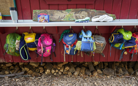 Laut Umfrage unter Kitaleitungen erschweren mehrere Faktoren eine Natur-Bildung der Jüngsten. (Symbolbild)  - Foto: Frank Rumpenhorst/dpa
