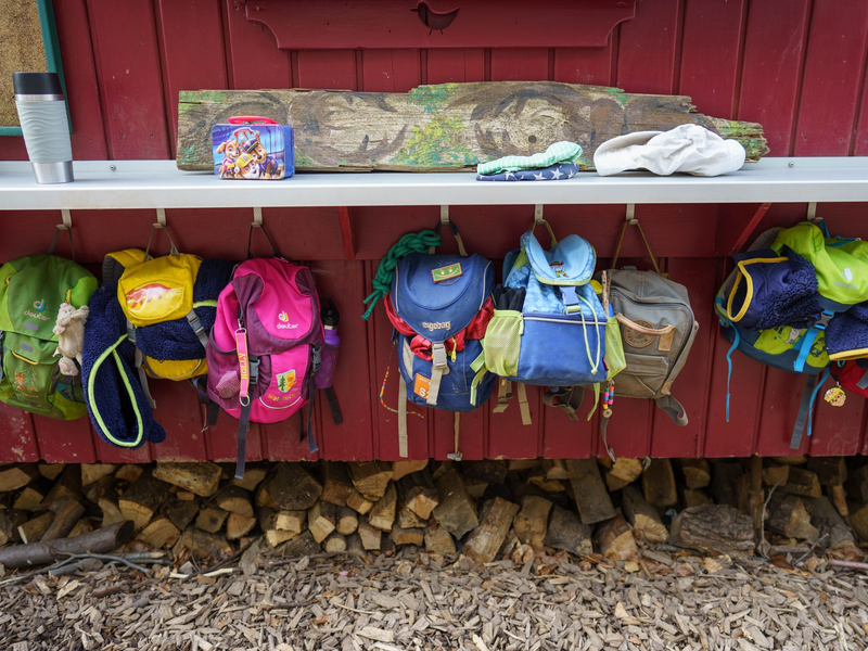 Laut Umfrage unter Kitaleitungen erschweren mehrere Faktoren eine Natur-Bildung der Jüngsten. (Symbolbild)  - Foto: Frank Rumpenhorst/dpa