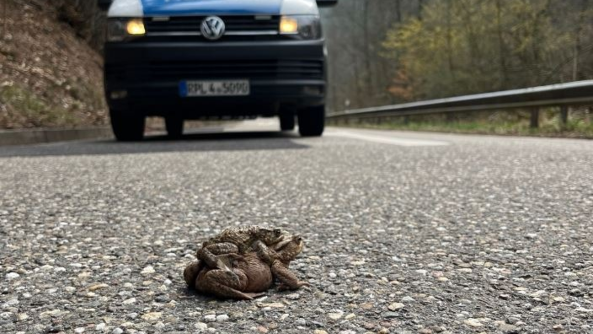 POL-PDLD: St. Martin - Geschwindigkeitskontrolle - Foto: presseportal.de