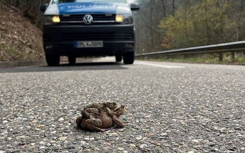 POL-PDLD: St. Martin - Geschwindigkeitskontrolle - Foto: presseportal.de