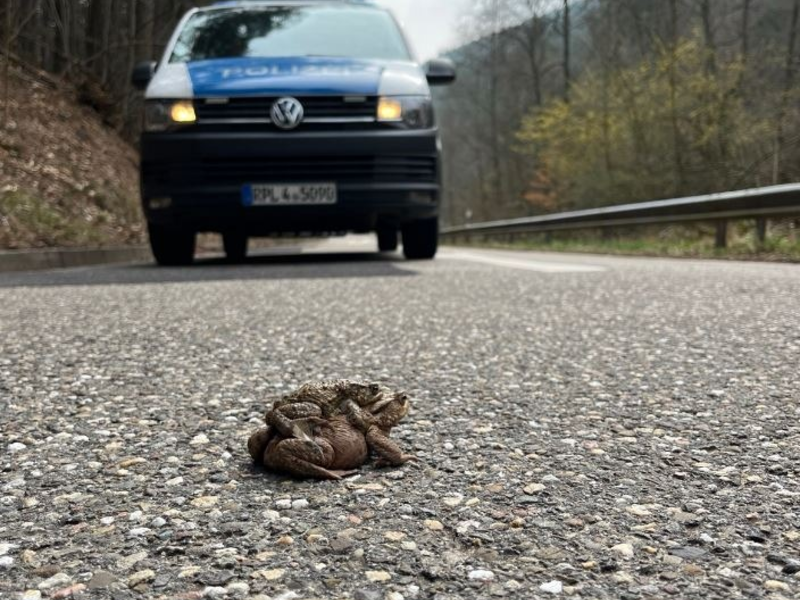 POL-PDLD: St. Martin - Geschwindigkeitskontrolle - Foto: presseportal.de