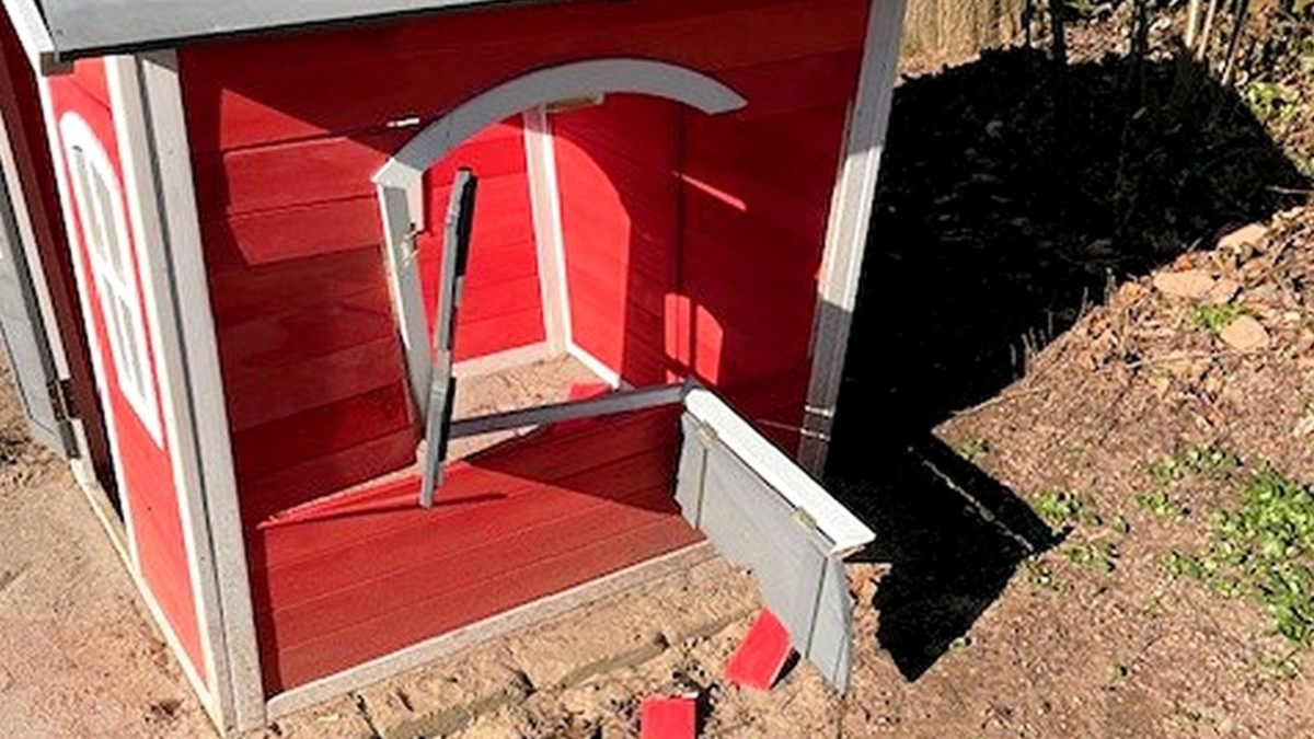 POL-PPWP: Auf Kita-Gelände gewütet - Foto: presseportal.de