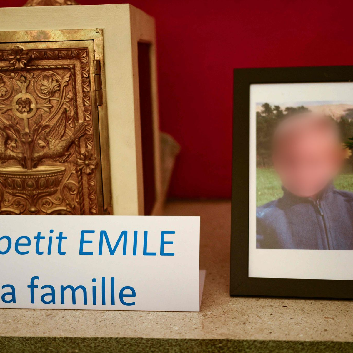 Vor knapp einem Jahr hatte eine Spaziergängerin den Schädel von Émile gefunden.  - Foto: Christophe Simon/AFP/dpa