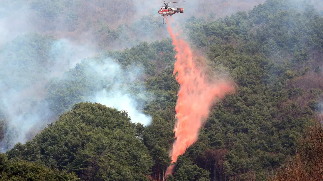 Rund 5000 Einsatzkräfte und mehr als 140 Hubschrauber kämpfen gegen die Flammen. - Bild: Kim Dong-min/Yonhap via AP/dpa