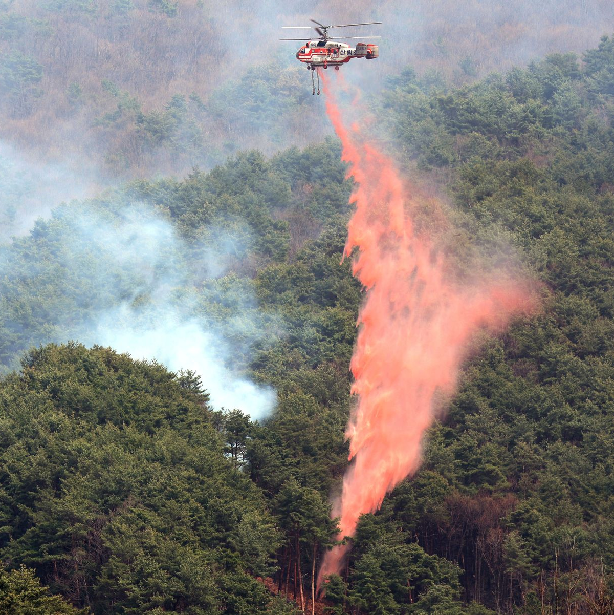 Rund 5000 Einsatzkräfte und mehr als 140 Hubschrauber kämpfen gegen die Flammen. - Foto: Kim Dong-min/Yonhap via AP/dpa