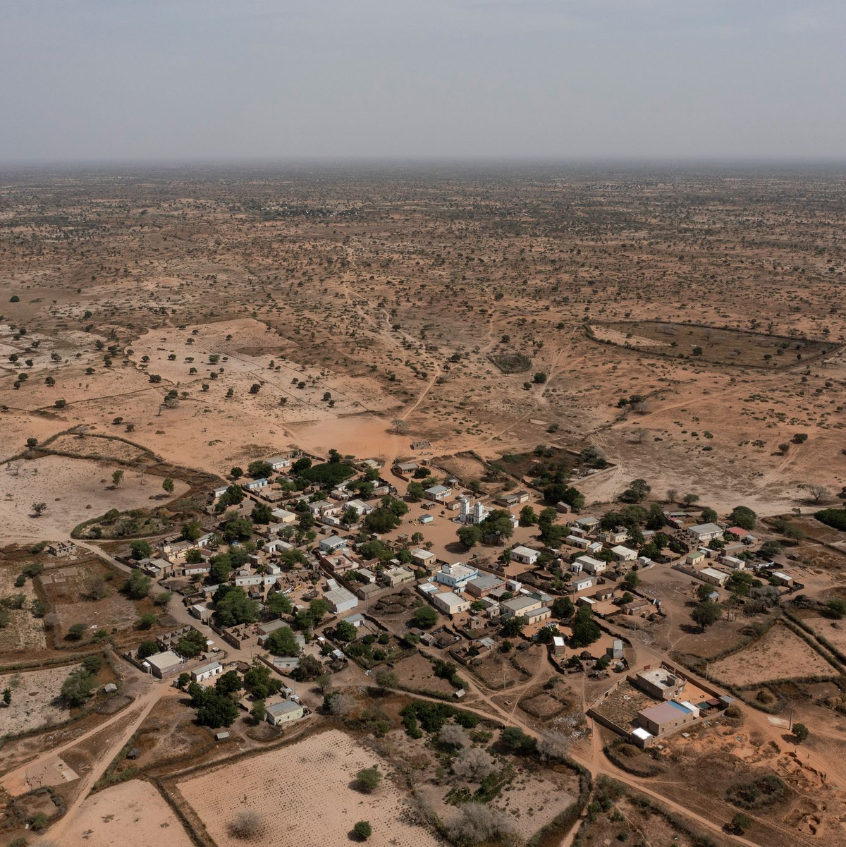 Nur ein kleiner Bruchteil der geplanten Fläche wurde wie eigentlich vorgesehen bepflanzt. (Archivbild) - Foto: Leo Correa/AP/dpa