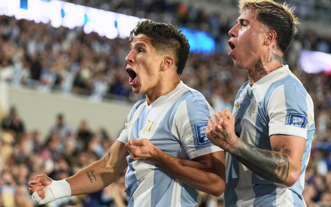 Kein schöner Abend auch für Brasiliens Coach.  - Foto: Natacha Pisarenko/AP/dpa