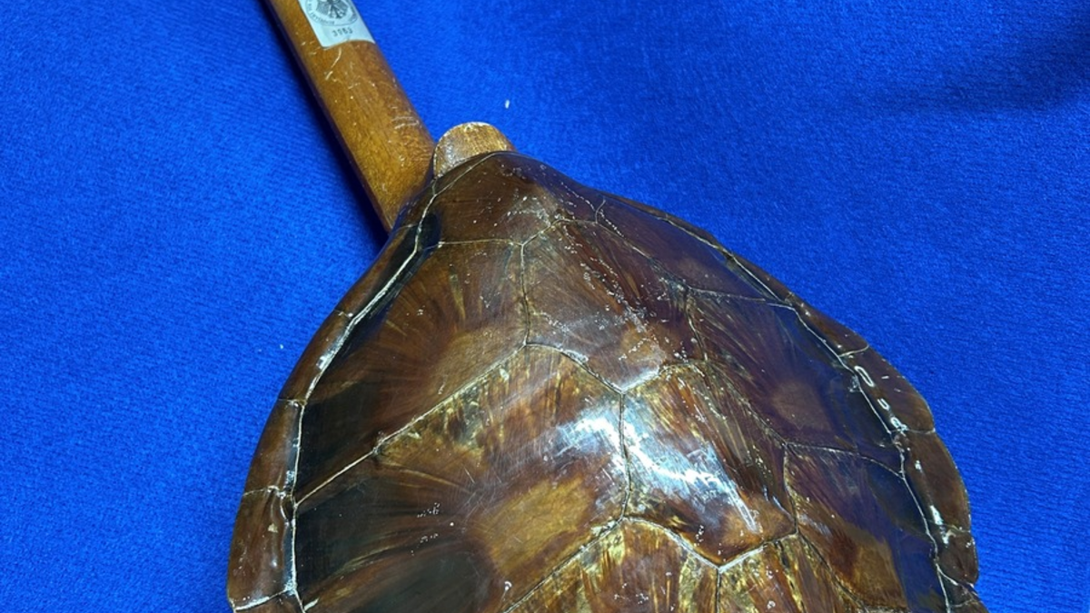 HZA-RO: 05. April 2025: Tag der Ausbildung beim Hauptzollamt Rosenheim / ZOLL wirbt für die Ausbildung im mittleren Dienst und für das Duale Studium zum Bachelor of Laws - Foto: presseportal.de