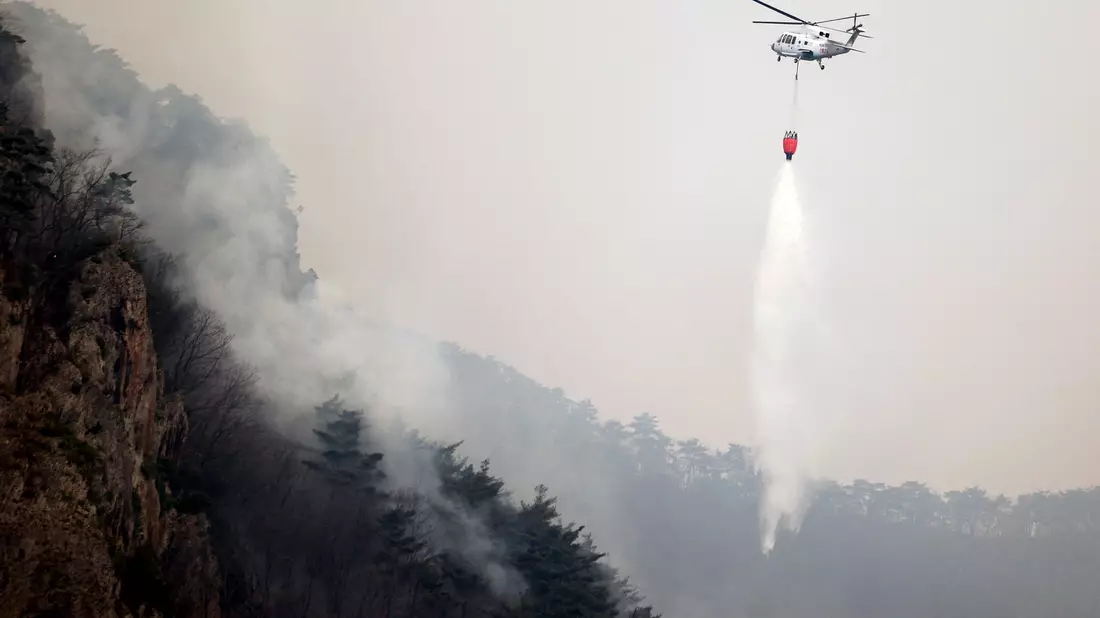 Es handelt sich um die größten Waldbrände in der Geschichte des Landes.  - Bild: Lee Moo-yeol/Newsis via AP)/dpa