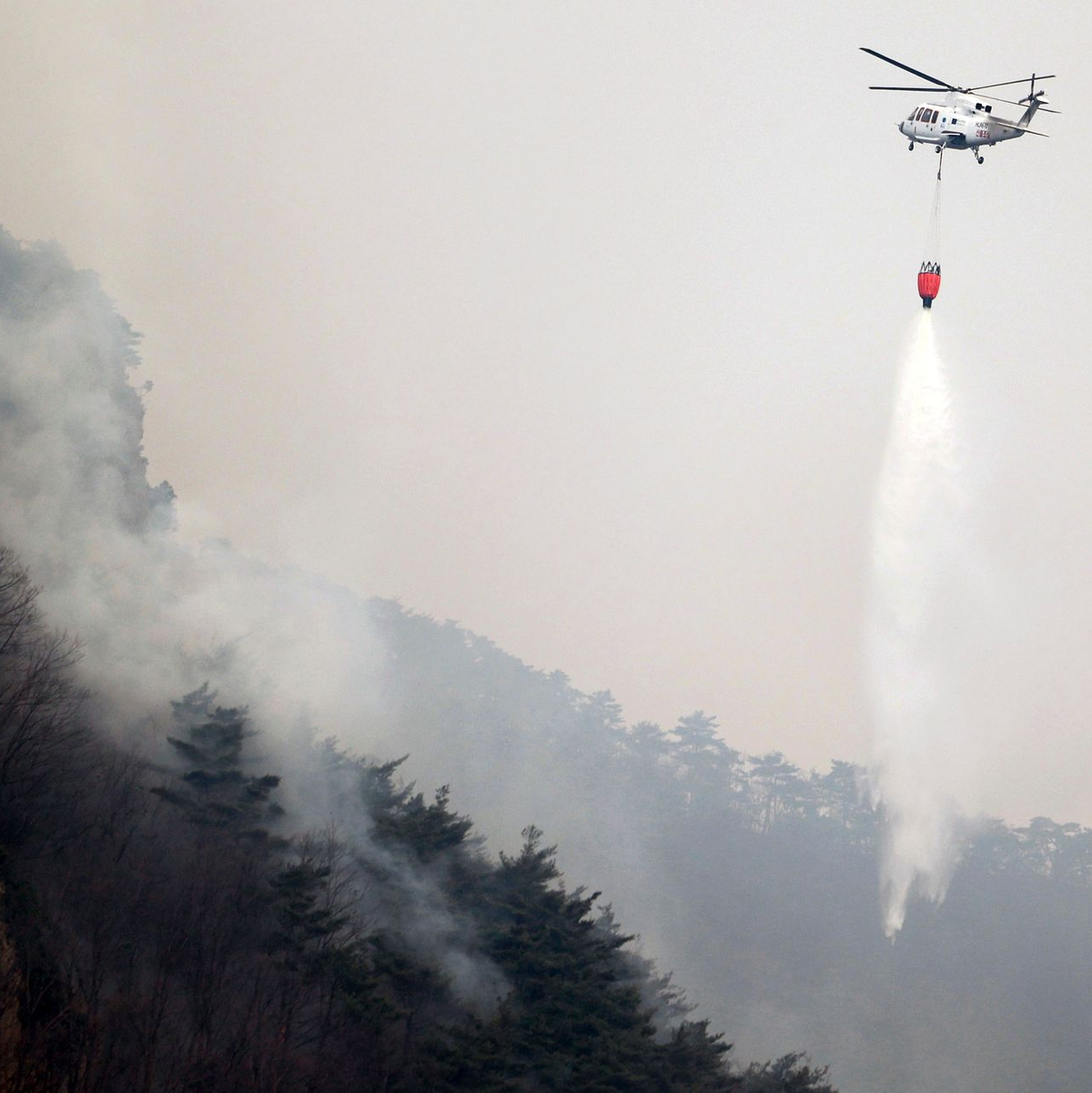 Es handelt sich um die größten Waldbrände in der Geschichte des Landes.  - Foto: Lee Moo-yeol/Newsis via AP)/dpa