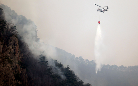 Es handelt sich um die größten Waldbrände in der Geschichte des Landes.  - Foto: Lee Moo-yeol/Newsis via AP)/dpa